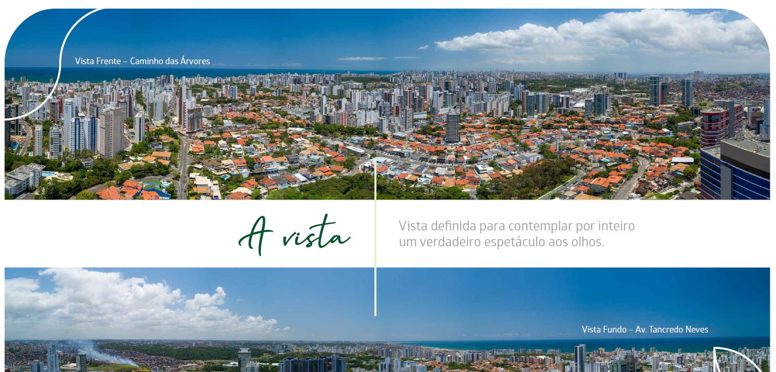 Galeria de Olhar Caminho das Árvores 2