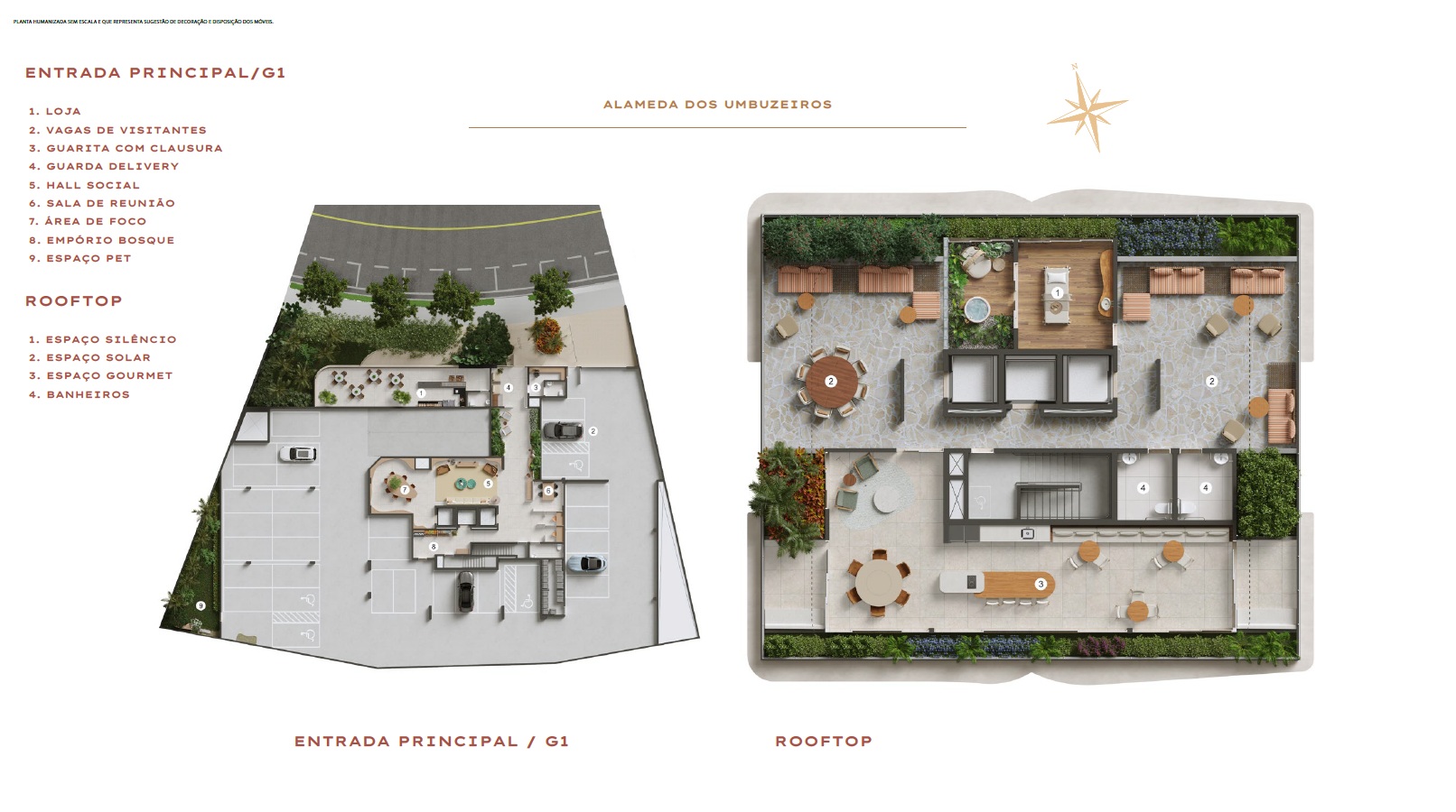 Galeria de Bosque Caminho das Árvores 3